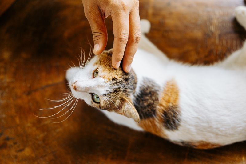 小花